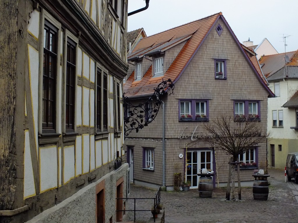DSCF5406.jpg