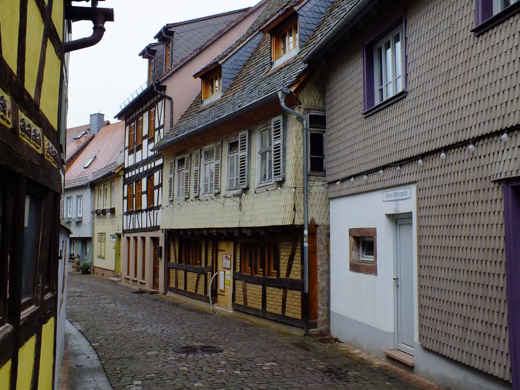 DSCF5409.jpg