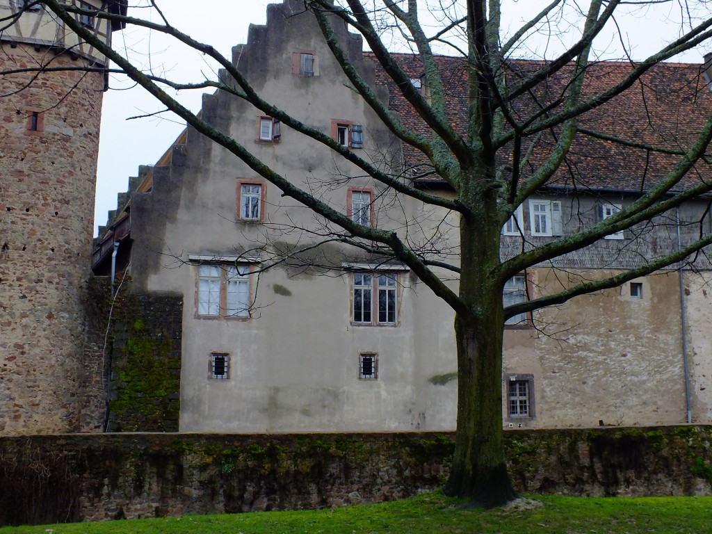 DSCF5417.jpg