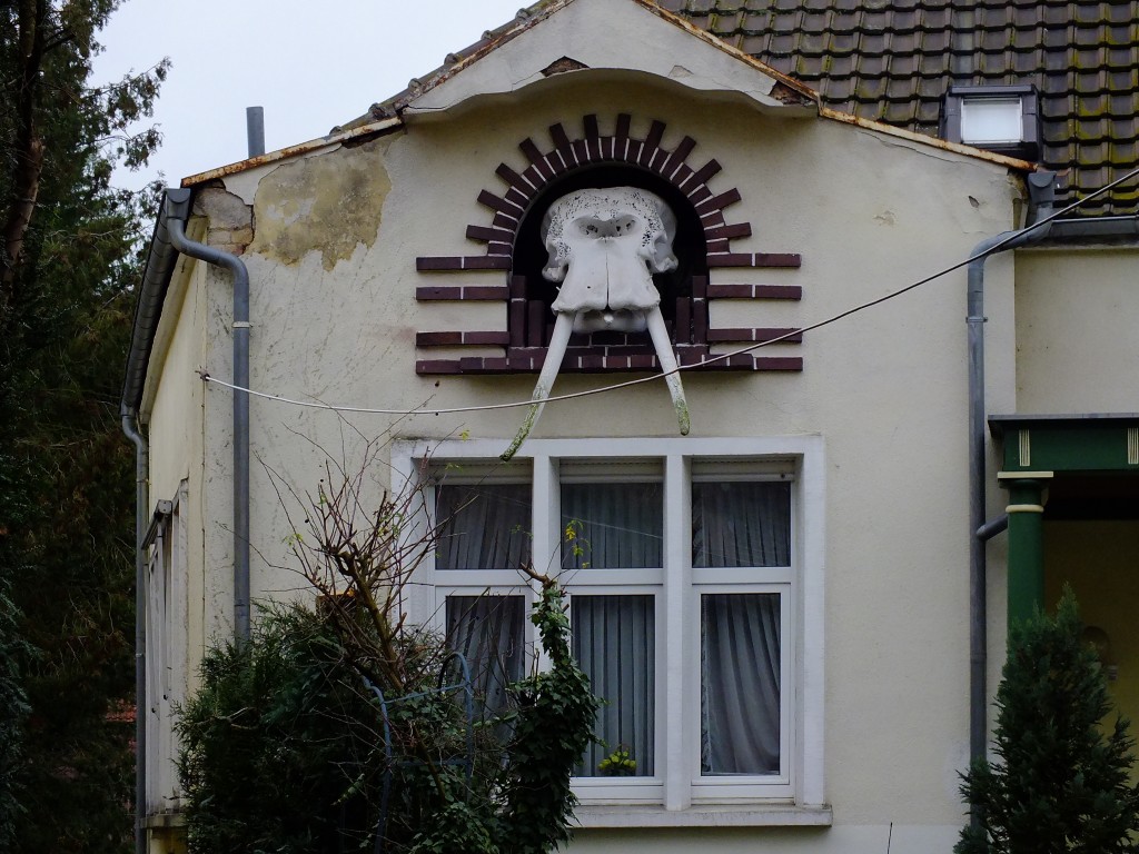 DSCF5422.jpg
