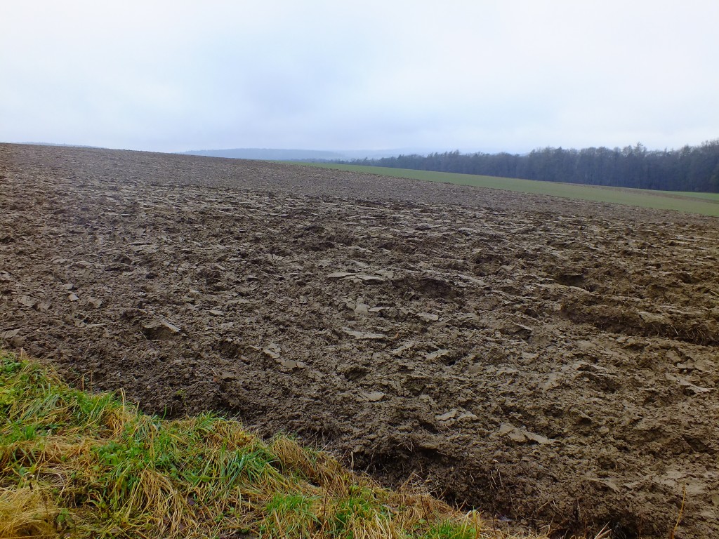 DSCF5430.jpg