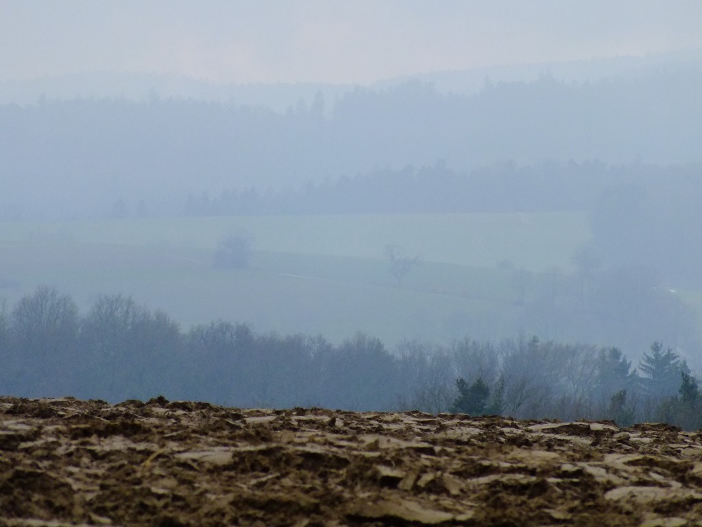 DSCF5432.jpg