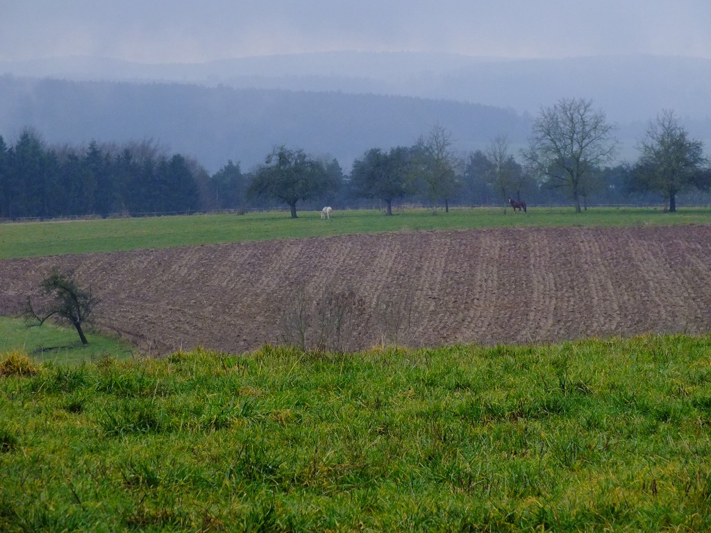 DSCF5434.jpg