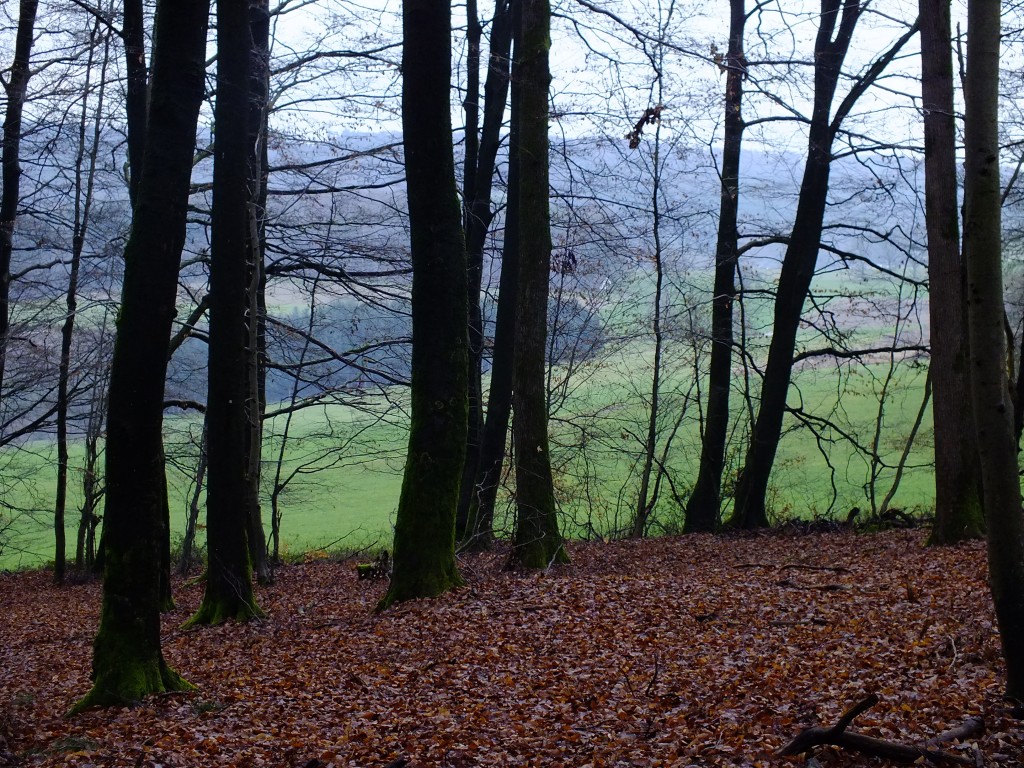 DSCF5435.jpg