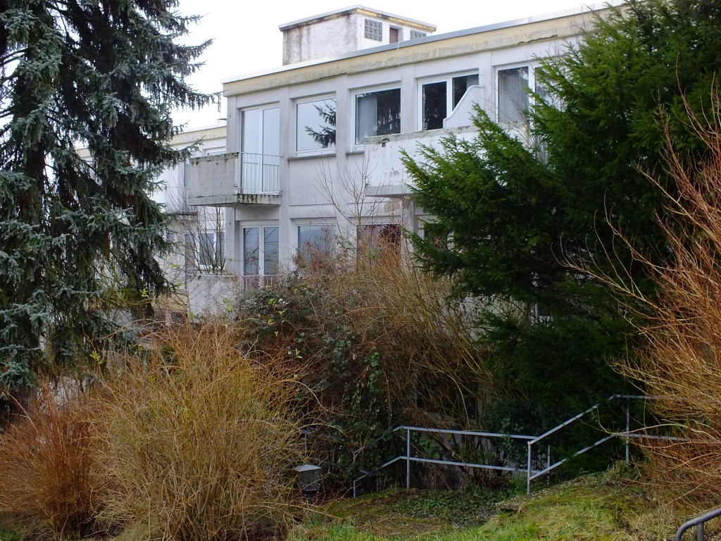 DSCF5437.jpg