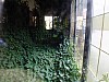 DSCF5414.jpg