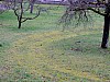 DSCF5425.jpg