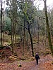 DSCF5429.jpg