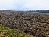 DSCF5430.jpg