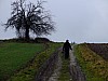 DSCF5431.jpg