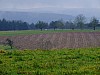 DSCF5434.jpg