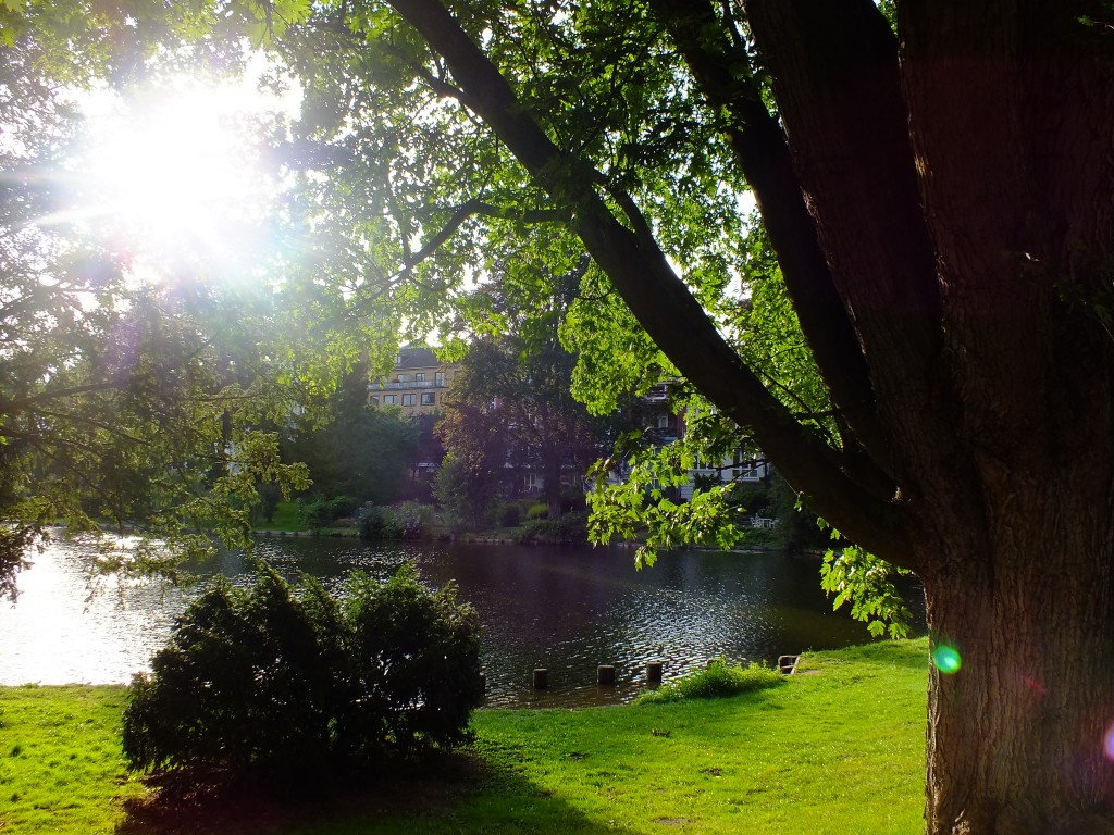DSCF7492.jpg