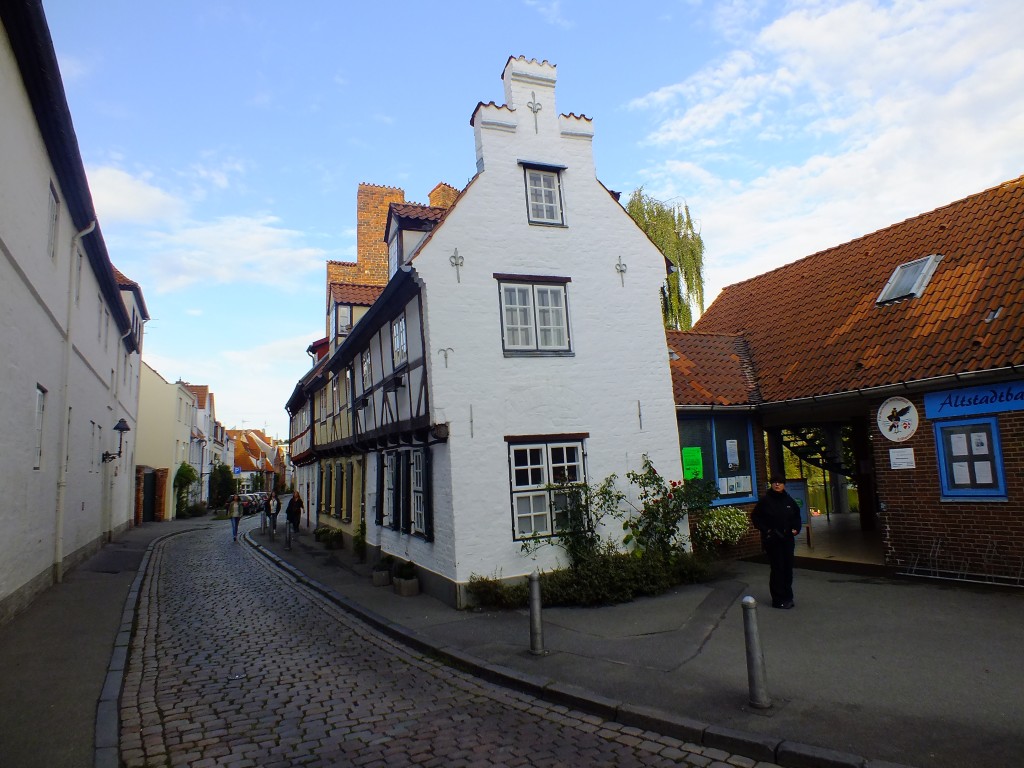 DSCF7497.jpg