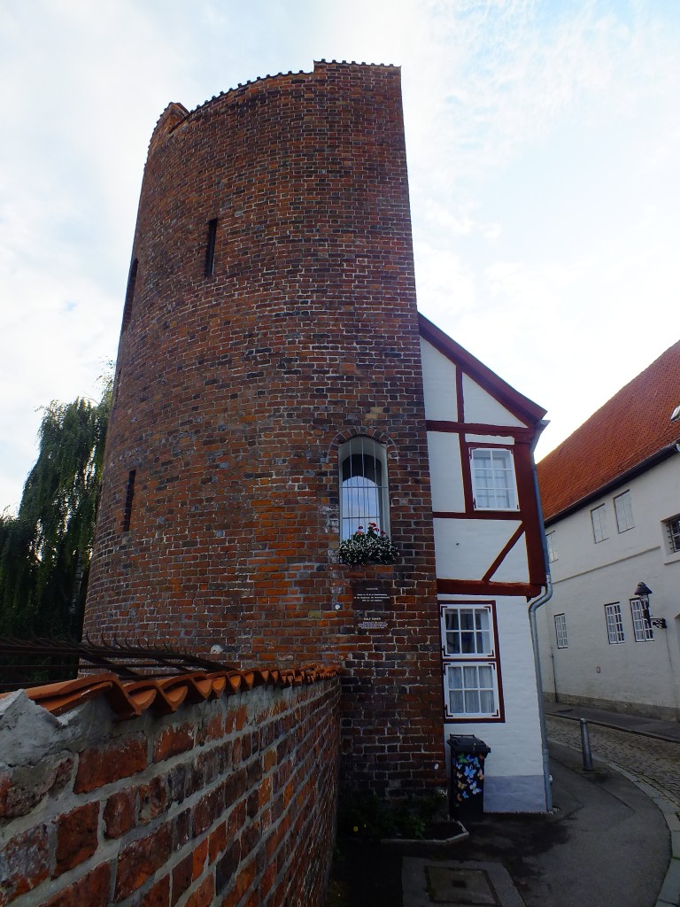 DSCF7500.jpg
