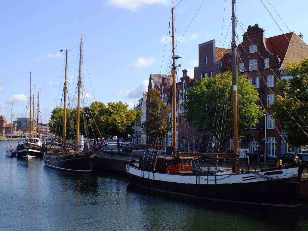 DSCF7542.jpg