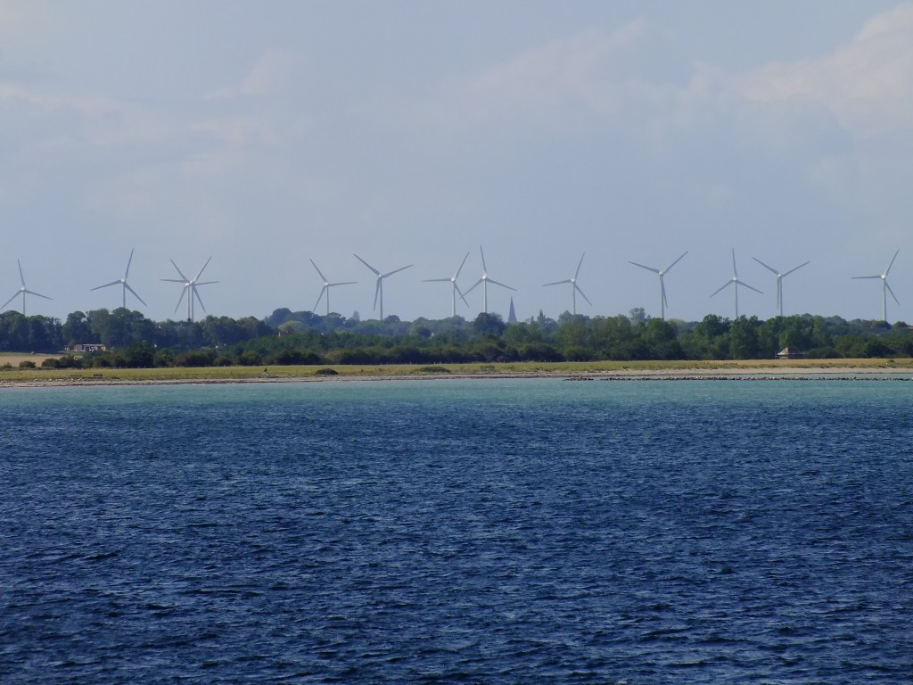 DSCF7549.jpg