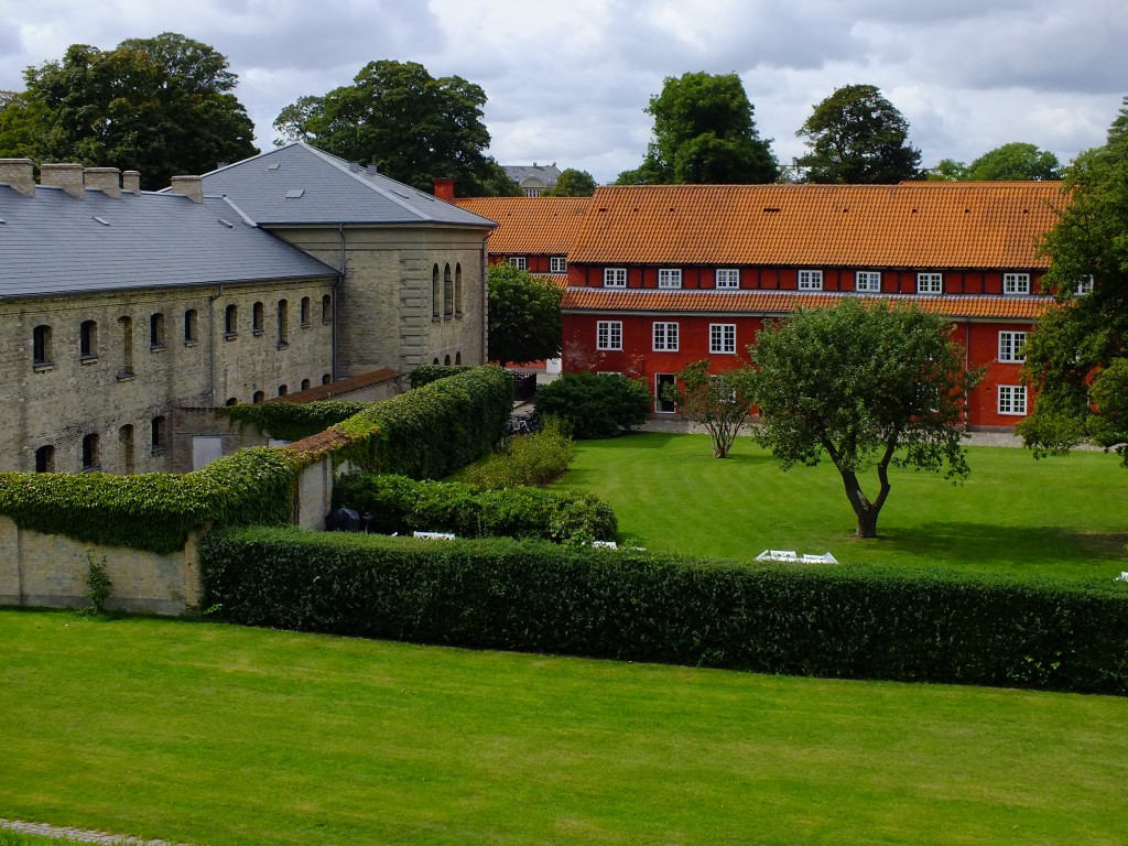 DSCF7579.jpg