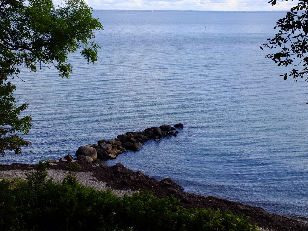 DSCF7613.jpg