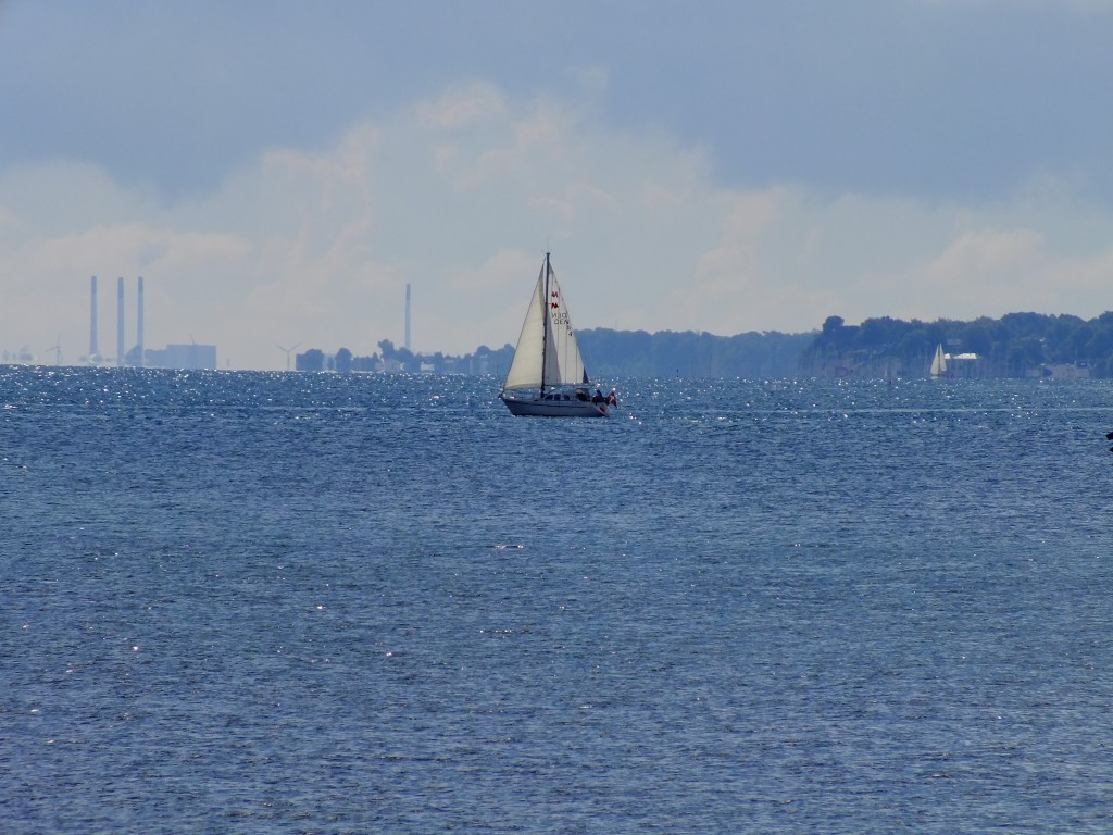DSCF7614.jpg