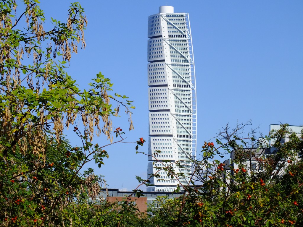 DSCF7695.jpg