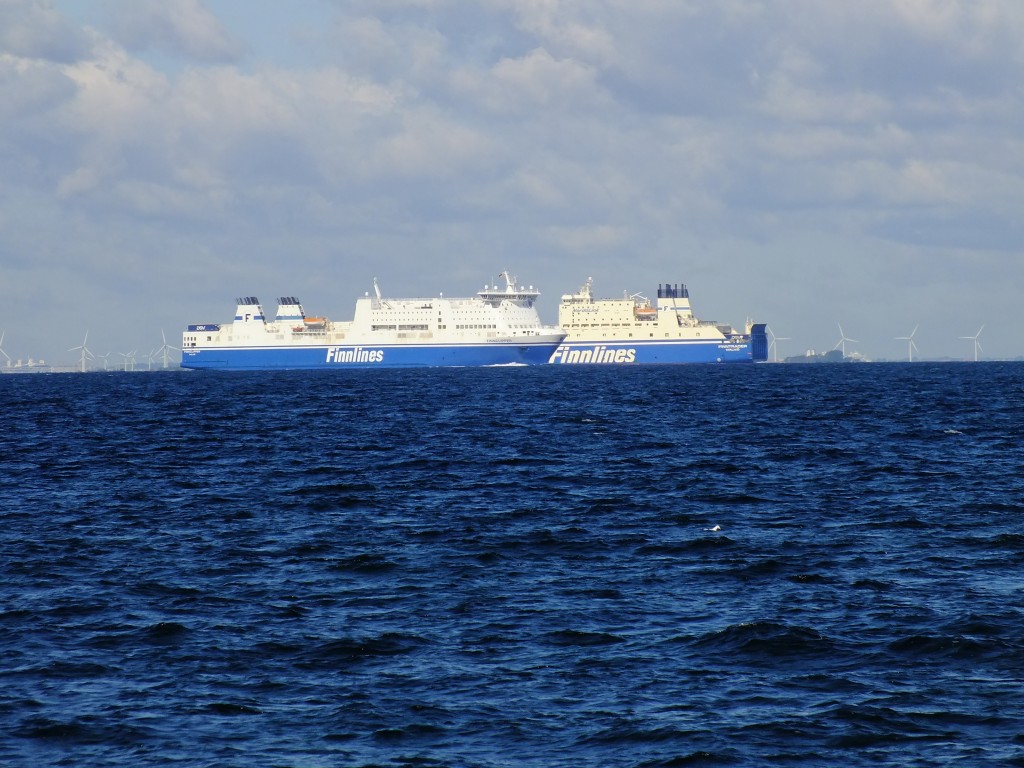 DSCF7706.jpg