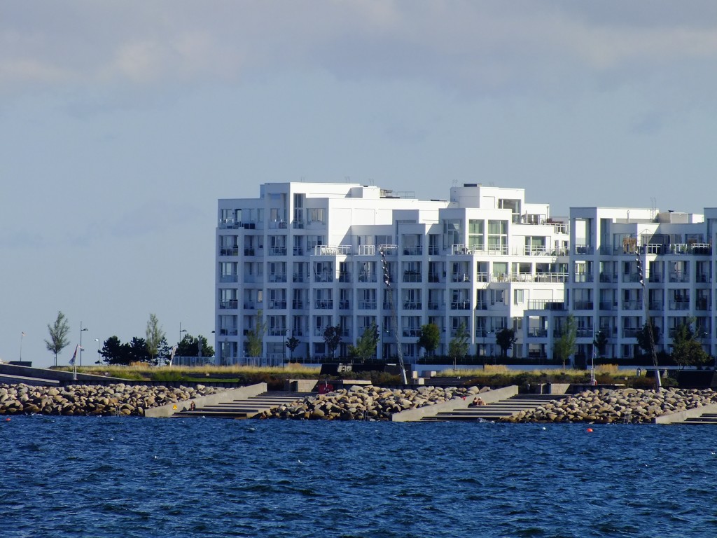 DSCF7708.jpg