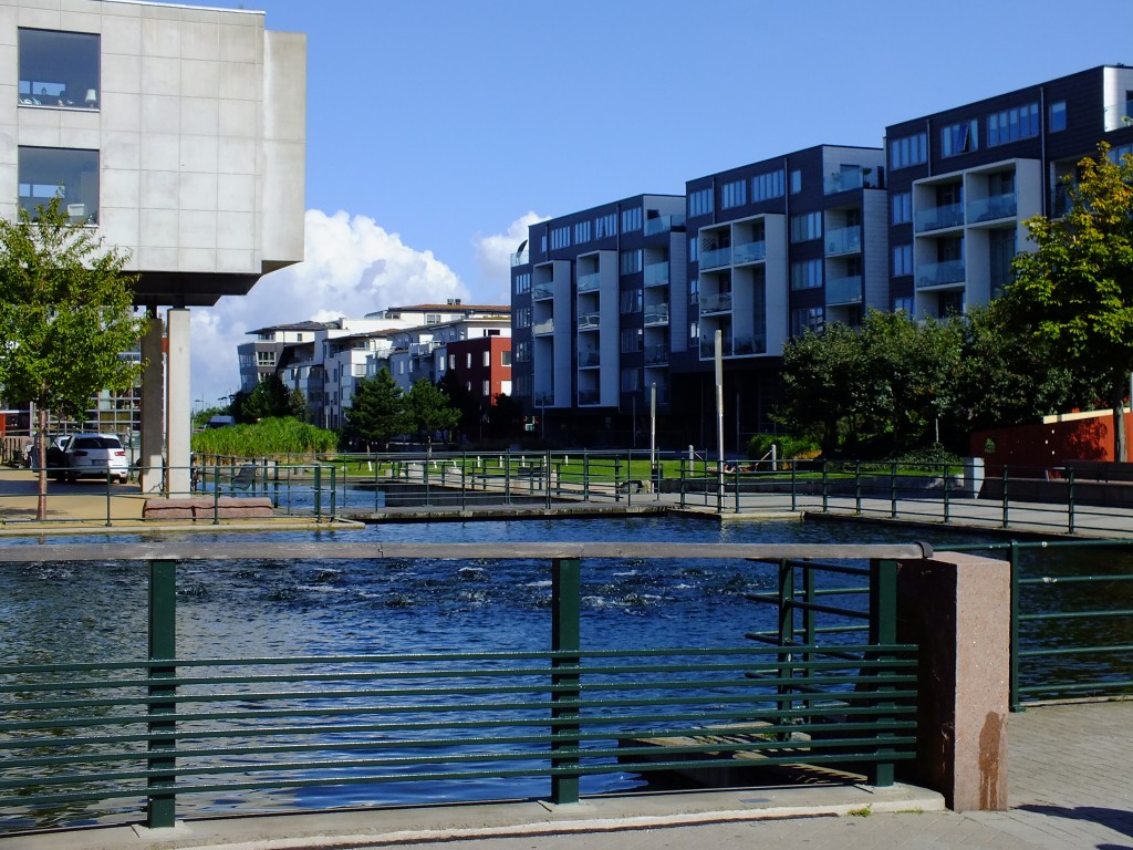 DSCF7731.jpg