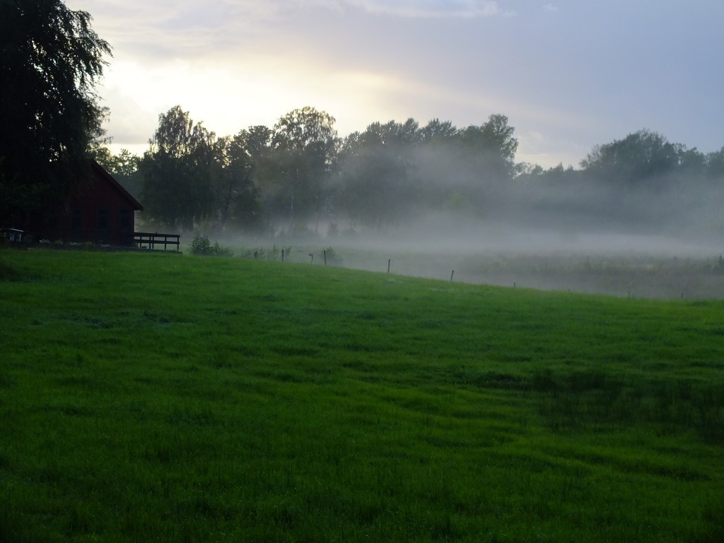 DSCF7764.jpg