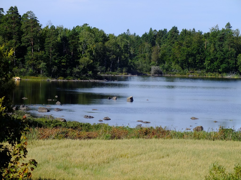DSCF7770.jpg