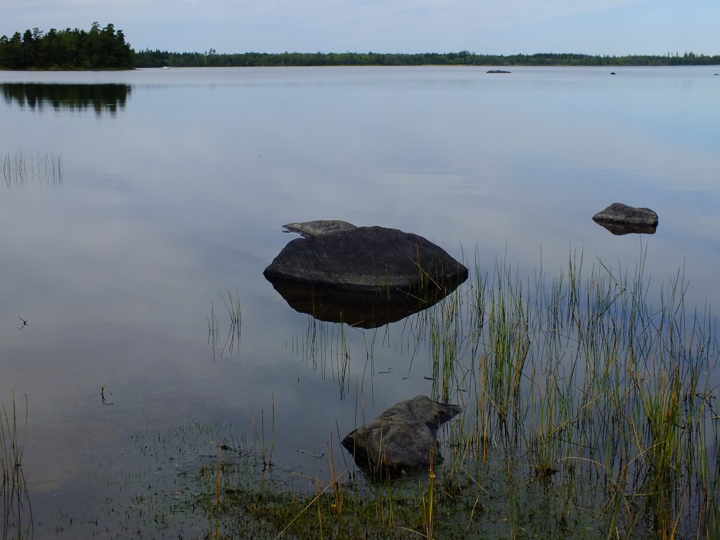DSCF7782.jpg