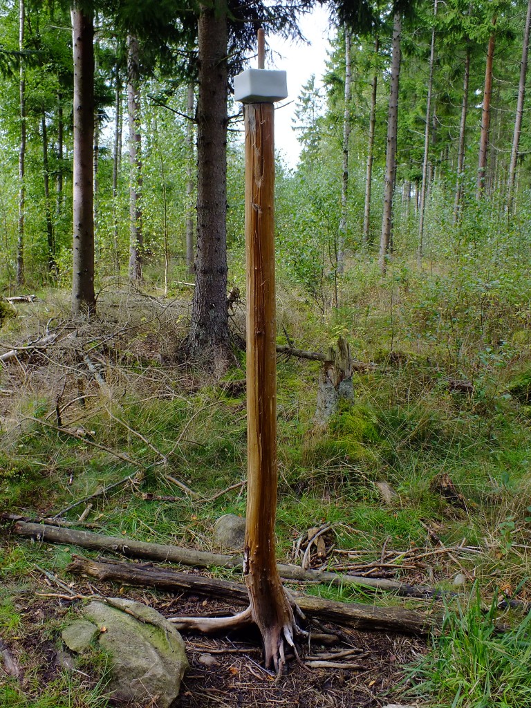 DSCF7789.jpg