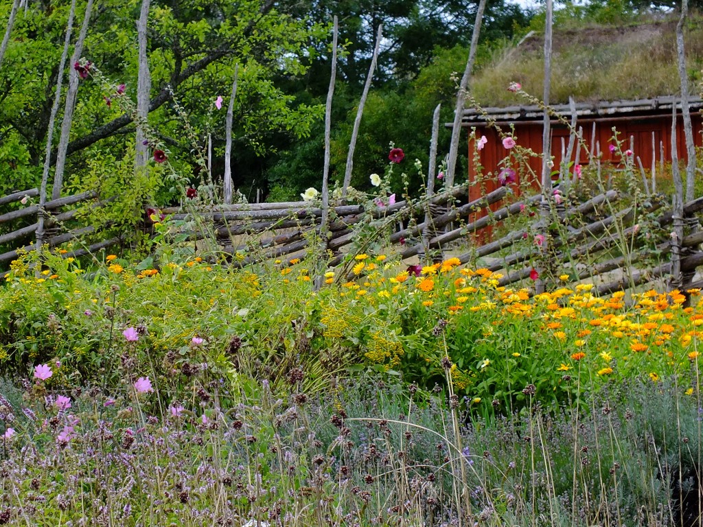 DSCF7809.jpg