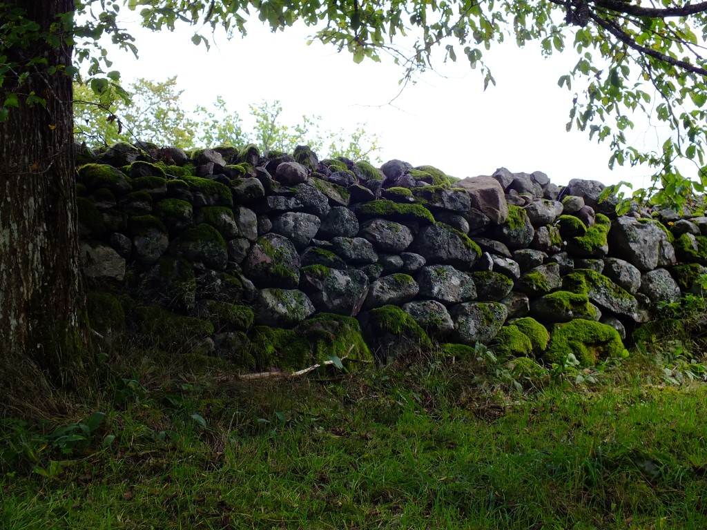 DSCF7829.jpg