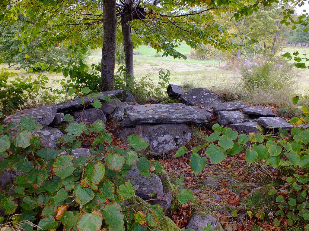 DSCF7832.jpg