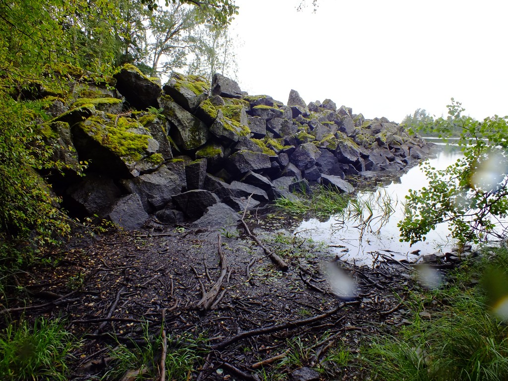 DSCF7851.jpg