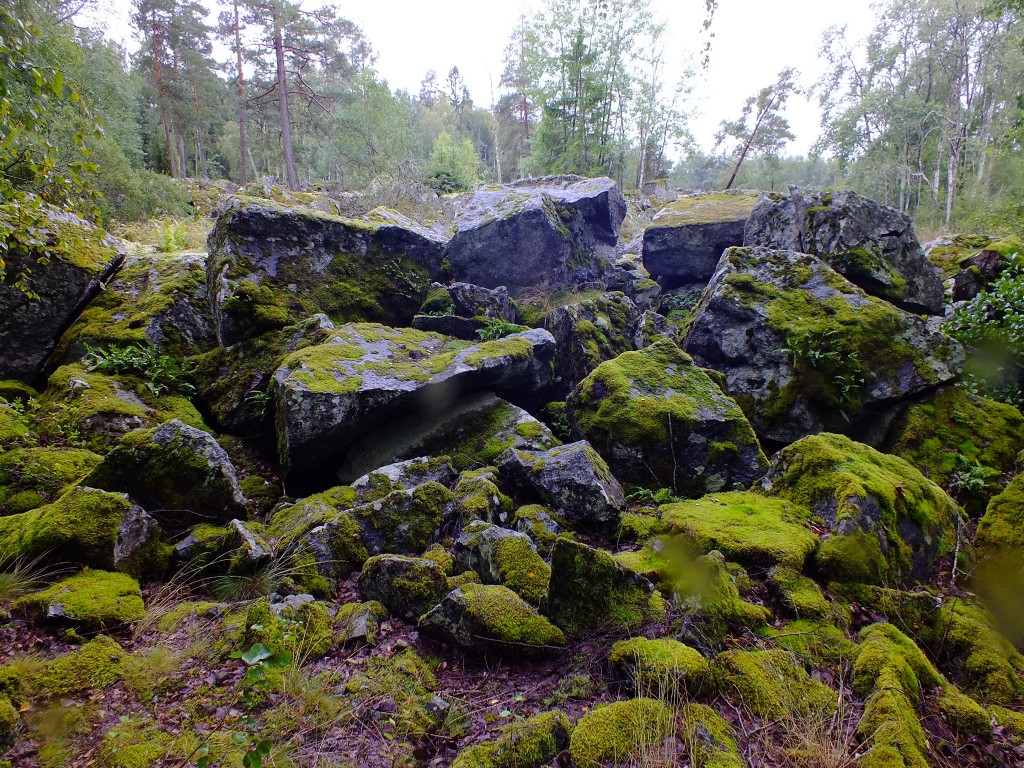 DSCF7862.jpg
