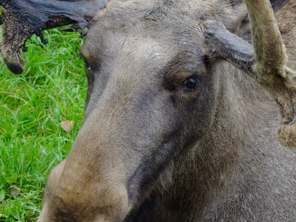 DSCF7873.jpg