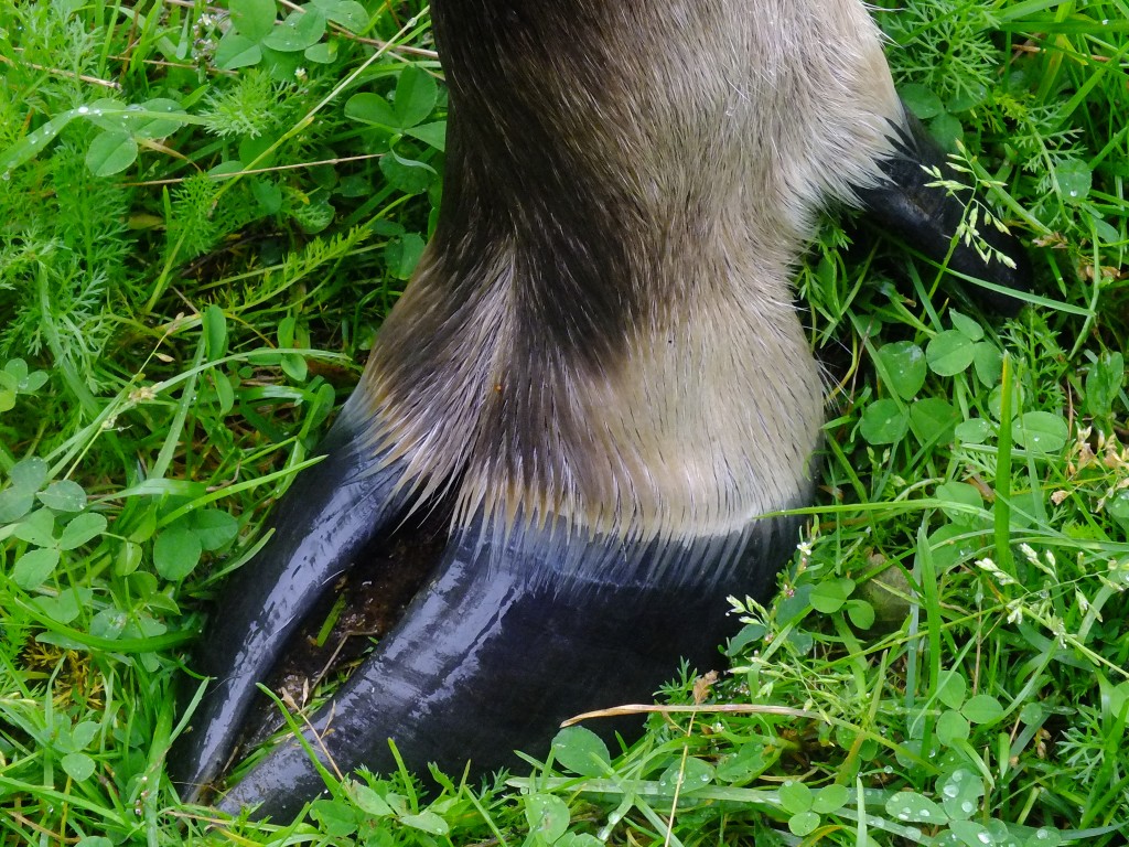 DSCF7889.jpg