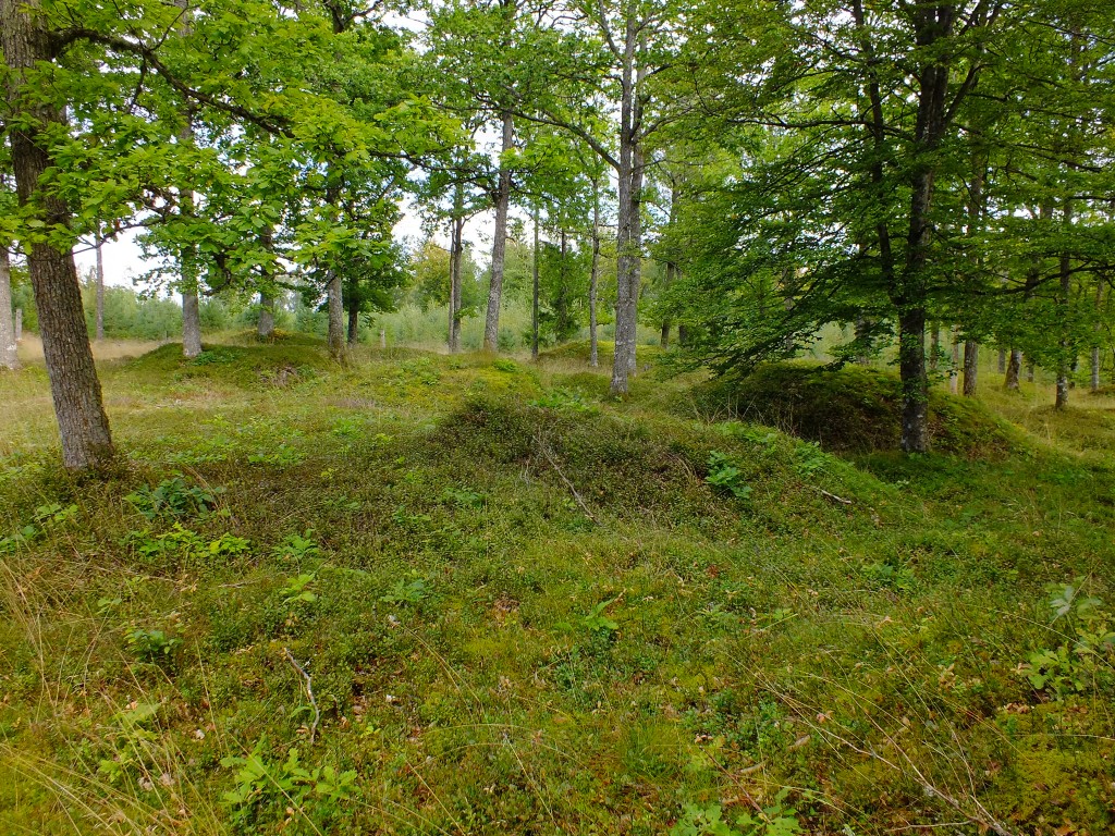 DSCF7960.jpg