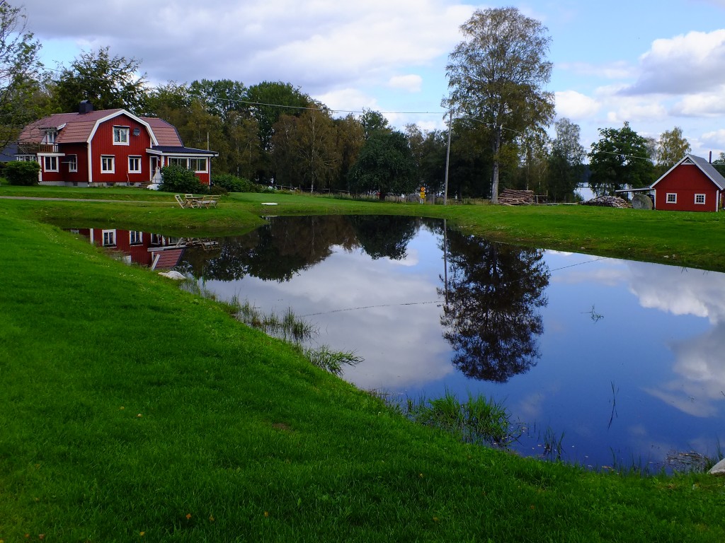 DSCF7973.jpg