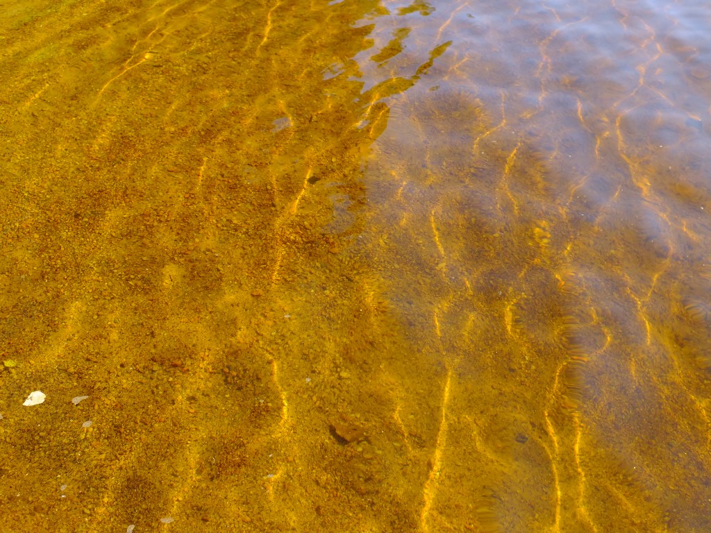 DSCF8041.jpg