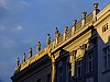 DSCF7529.jpg