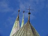 DSCF7535.jpg