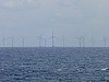 DSCF7553.jpg