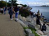 DSCF7582.jpg