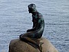 DSCF7583.jpg