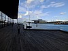 DSCF7595.jpg