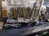 DSCF7606.jpg