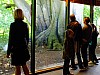 DSCF7627a.jpg