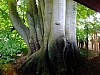 DSCF7628.jpg